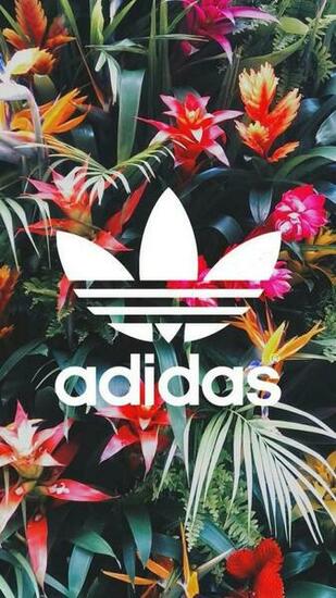 Best Adidas Logo Ideas Only
