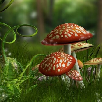 Mushroom Background iPad Background Best Wallpaper
