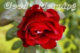 Good Morning Nature Wishes Pics Photos Wallpaper Festival Chaska