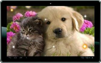Puppy Best Live Wallpaper Google Play Andr Oid