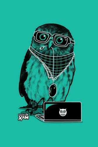 Owl iPhone HD Wallpaper