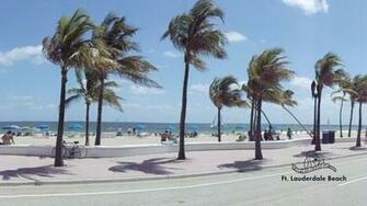 Desktop Background From Florida Beach Bar