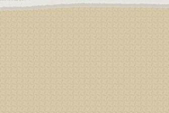 Aged Wallpaper Textures Literary Spring Designs