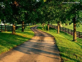 Amazing Nature Wallpaper