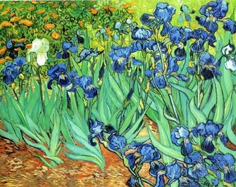 Irises A Post Impressionist Vincent Van Gogh Art Wallpaper Picture