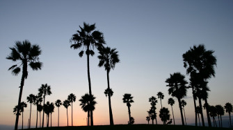 Los Angeles Wallpaper Desktop Goodwp