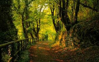 Autumn Jpg