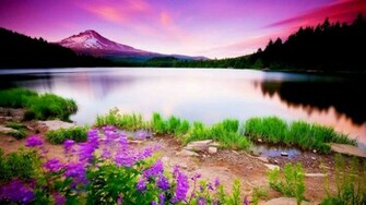 Apple Nature Wallpaper HD Wallpapercool High Definition