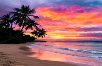 Summer Sunset Wallpaper