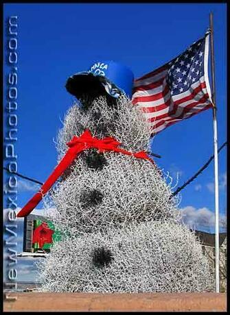 New Mexico Photojournal Tumbleweed Snowman