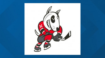Ohl Sanctions Against Niagara Icedogs Wgrz