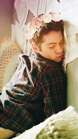 Wallpaper HD Stilinski Google iPhone Wp