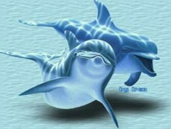 High Definition Wallpaper Photo Dolphin Html