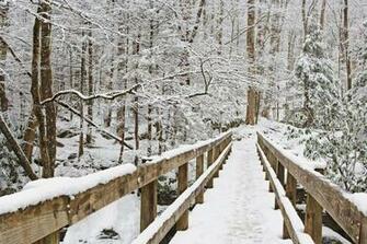 Smoky Mountains Footbridge William Britten Use With Permission Only