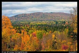 Autumn In Maine Wallpaper Landscape