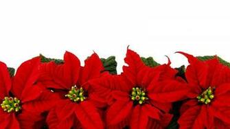 Background Image HD 1080p Png Clipartsgram