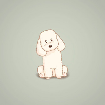 Toy Poodle Dog Illustration Art Print By Li Kim Goh X Small