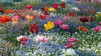 Yorkshire Image Think Happy Thoughts HD Wallpaper And