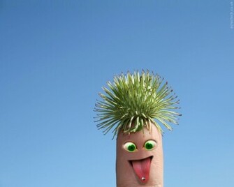 Silly Plant Wallpaper