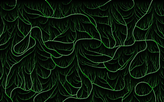 Vine