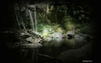 Enchanted Forest Background
