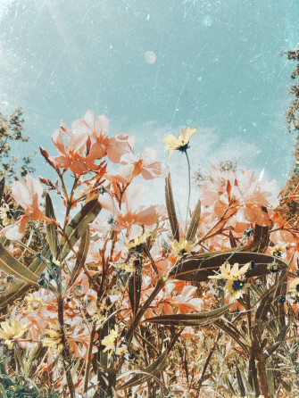 Aesthetic Spring Wallpaper