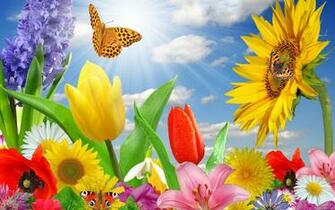 Spring The Joy Of Wallpaper HD
