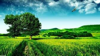 Fantasy Field Wallpaper Open Walls