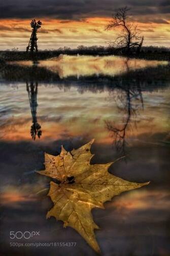 The Last Leaf By Twwall 500px Leaves Beautiful