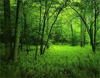 Thread Appreciating The Beauty Of Nature