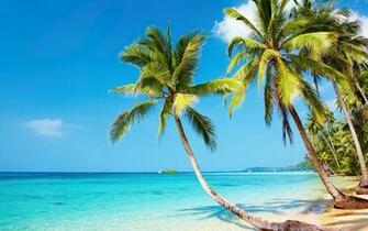 Tropical Beach 4k Ultra HD Wallpaper Net