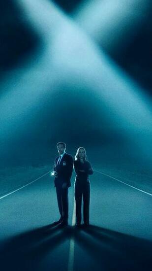 The X Files