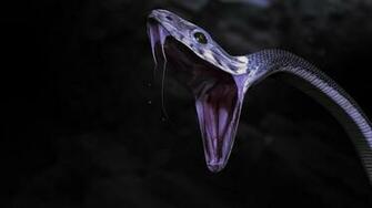 Michele Lamanna 3d Artist Gualicho Davide Squillace