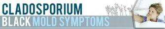 Cladosporium Prevent This Black Mold From Growing In Your Home