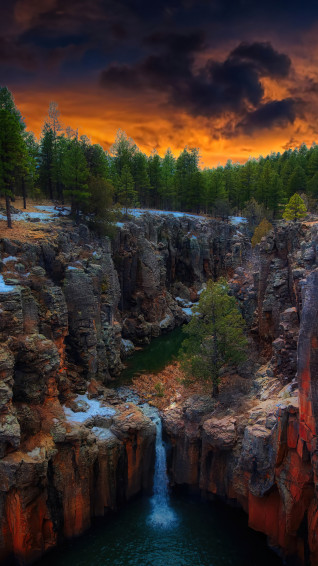 Nature Forest Tree Arizona Canyon Scenery 4k Phone iPhone