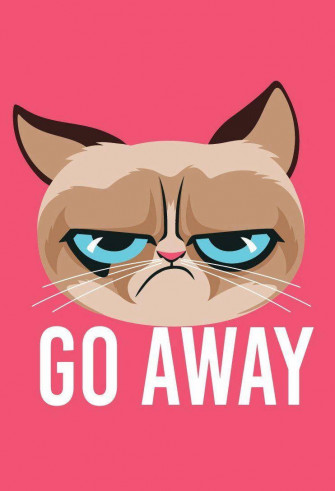 Cat Meme Wallpaper