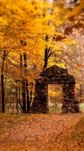 Smartphone Wallpaper Mobile Phone HD