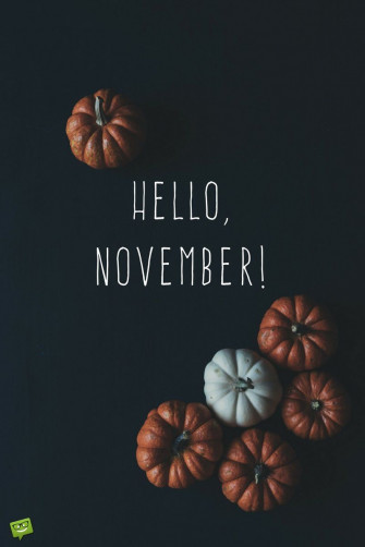 Hello November Wallpaper