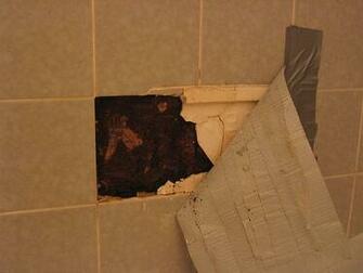 Hidden Mold Often Grows Behind Building Materials In This Case