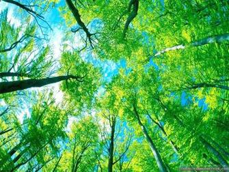 Summer Wallpaper Scenes Top Background