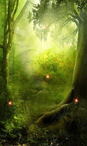 Live Wallpaper Of Magic Forest Also Very Relaxing This