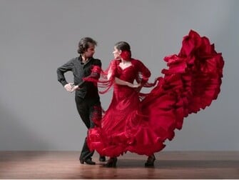 Flamenco Wallpaper