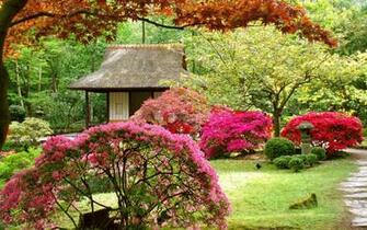 Japan Flowers Spring Japanese Garden Asian Wallpaper Background