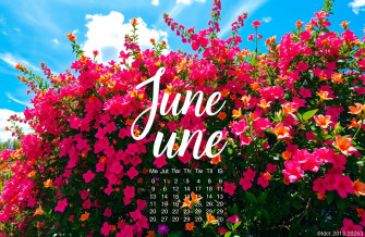 June Calendar Wallpaper