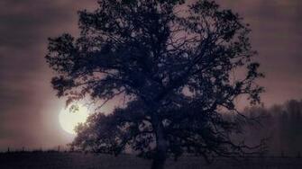 Majestic Tree Wallpaper