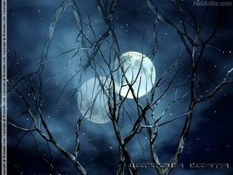 Haunted Forest Wallpaper HD Jpg