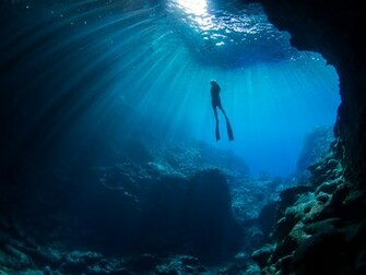 Back Gallery For Diving Wallpaper