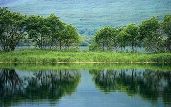 Green Scenery Wallpaper Background