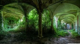 Barn Overgrowth Abandon Deserted Urban Decay HD Wallpaper Gallery