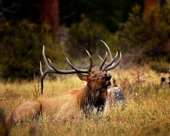 Gallery Screen Saver Fine Art Nature Photography By Steve Perry